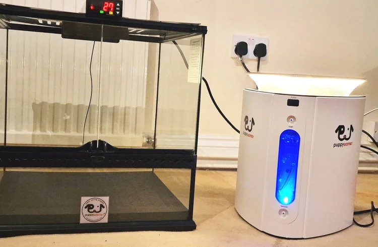 An incubator and oxygen generator used to whelp litters